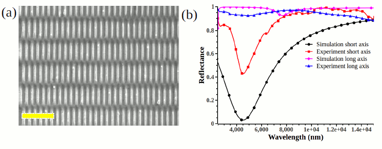 Fig 1 Figure (a) shows the FESEM image of 2 D ladder like structures fabricated on glass substrate with dimensional parameter as length short and long axis as 1.8 μm and 2.88 μm, lattice constant along long and short axis as 4.4 μm and 0.605 μm. (b) shows the experimental and simulation reflection spectrum of these sample with orthogonal two polarization.